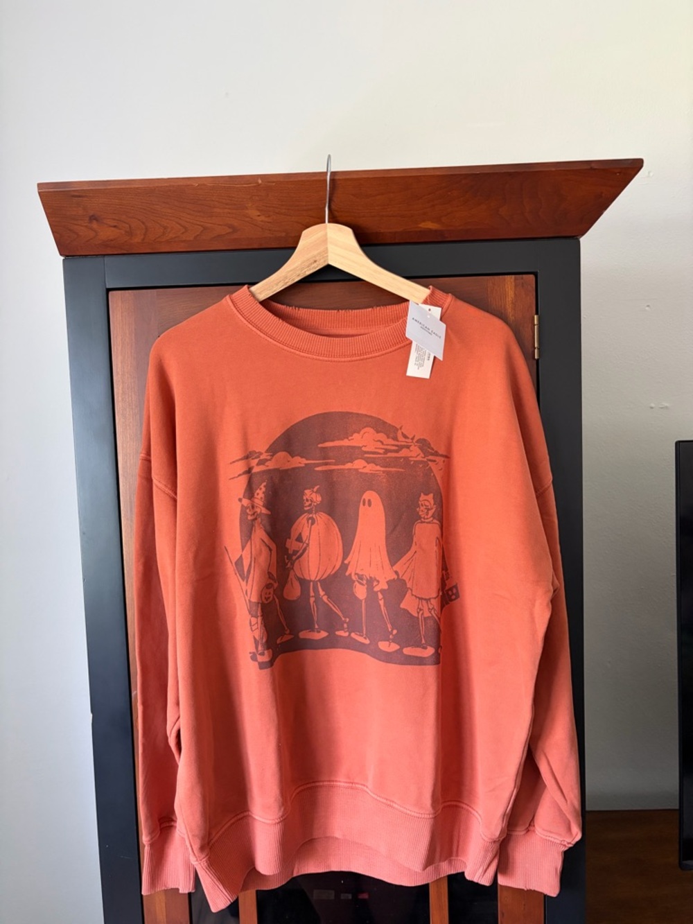Oversized American Eagle Sweater Bundle - Picture 2 of 4